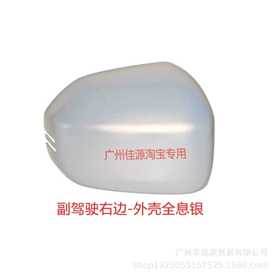 Aion V Tyrannosaurus rearview mirror: Rear mirror/rearview mirror assembly - passenger-side-right-shell-holographic-silver