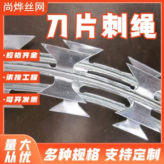 定制刀片刺绳热镀锌监狱防爬刺绳带刺铁丝网刺丝滚笼刀片刺绳