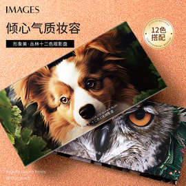 形象美丛林十二色眼影盘一盘多用色泽靓丽不易脱妆眼影彩妆批发