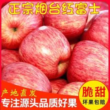 烟台苹果栖霞红富士山东应季新鲜水果脆甜多汁不打蜡3/5/10斤整箱