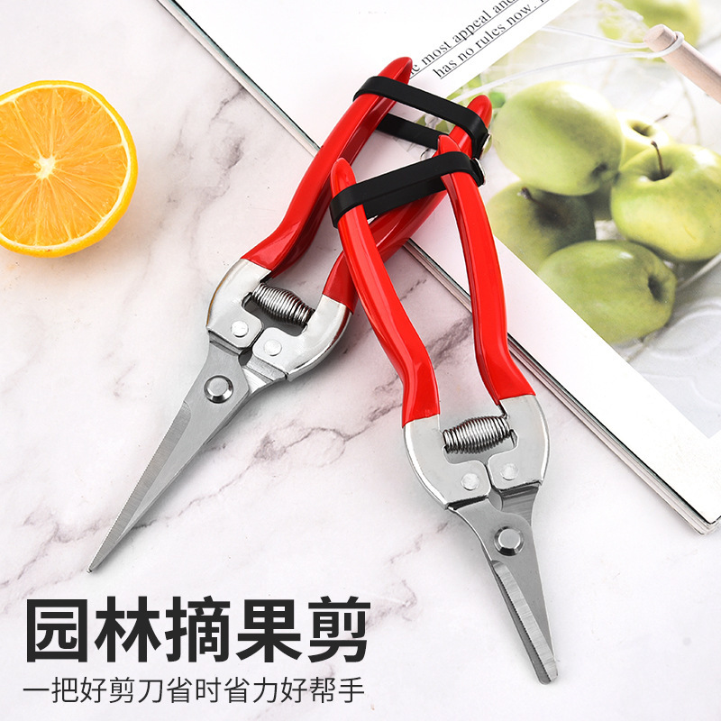 Cuchillo de jardín de acero inoxidable jardinería corte de flores maceta corte de ramas fábrica de árboles frutales en stock