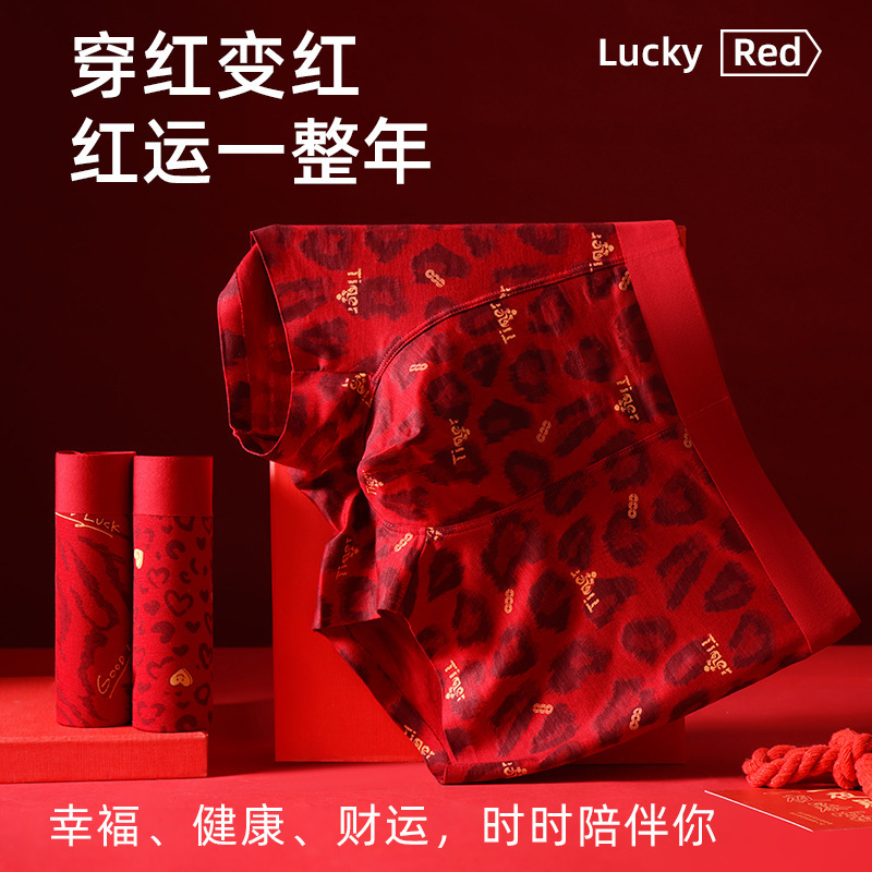 Men's Underwear for the Year of Birth, Leopard Print Trendy Printed Boxer Briefs, Comfortable and Personalized, Red and Festive Boys' Boxer Briefs