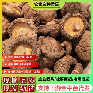 �����^��ɶ��㹽�����ɽ�خaɢ�b�����ϱ���؛��Ģ���S�����l