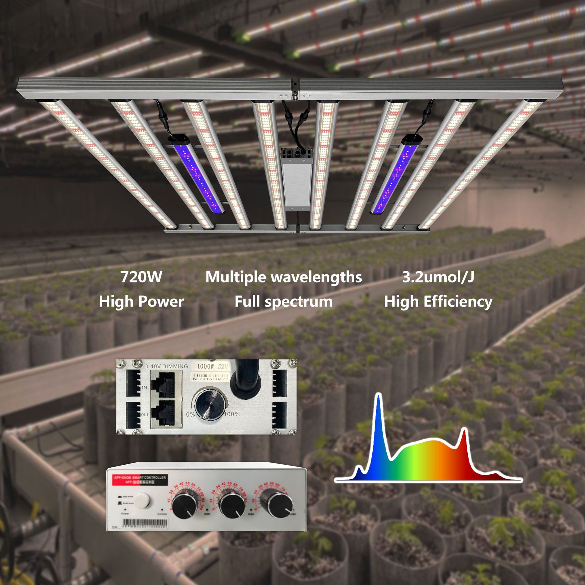 �����﷢�������������ȫ����800���������ɵ�ֲ�ﲹ��ư�