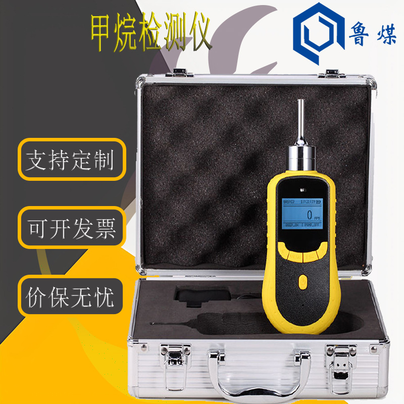 在线式甲烷检测仪功能特点高精度