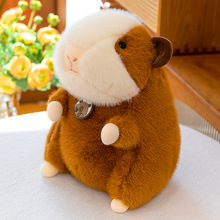 ���Sֱ�N��Ƥ�}��ë�q��߽���ë�τ���ë�q��߳�ܛ������ż���l