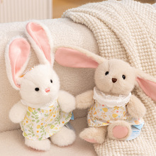 ȹСżͯ˯LëqץޙCQYƷ