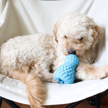 �������ĥ���Ϳ�ҧС���ʹ���Ȯ������Ʒ���J©ʳ������ǽ␞