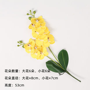 Factory Direct Sales of Extraordinary Double Fork 12 Phalaenopsis Dry Flower Living Room Swing Flower Wedding Wedding Products Simulation Flower