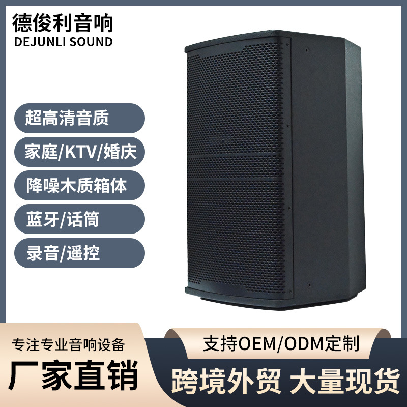 12 pulgadas altavoces de sala de canto KTV sala de conferencias de sonido de cine en casa sala de conferencias de la escuela