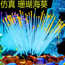 �S�����l �~���b� �쾰ˮĸ ҹ�⺣�� ˮ���쾰����ɺ����đ