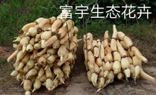 \ˮźNɏźNźˮźN ߮aʳɏźN źź̫