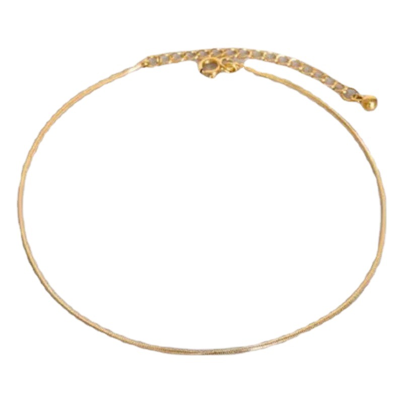 Tobillera de celebridades de Internet para mujer nuevo diseño de nicho ins 18k oro rosa kinson serie hada titanio acero no se desvanece cadena de pie