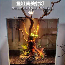 鱼缸南美射灯造景夹灯溪流缸led灯原生水草缸专用暖光灯不可调焦