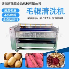 气泡高压喷淋去泥沙人参清洗风干生产线 全自动洗药机苍术清洗机