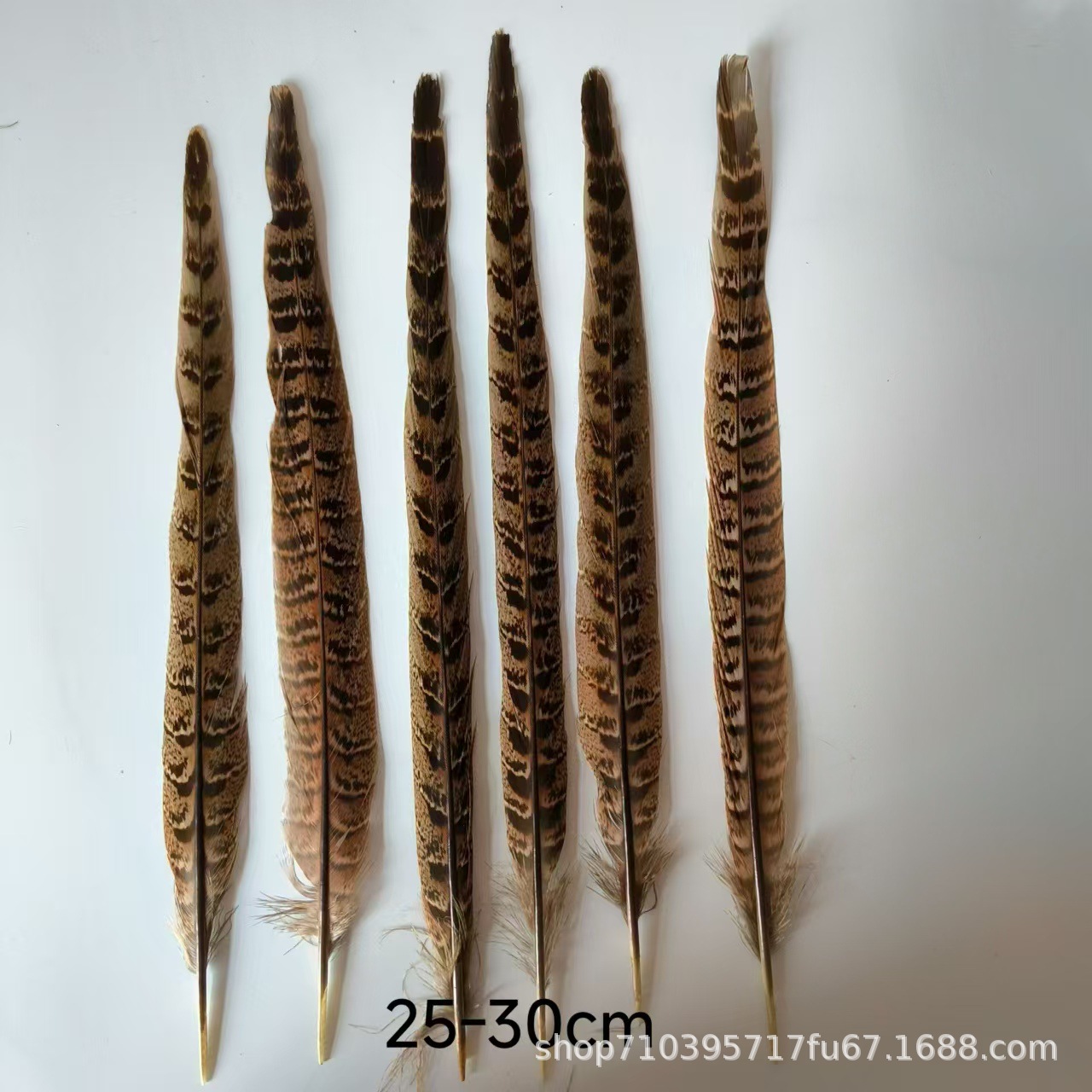 Fábrica al por mayor pelo de faisán 10-90cm cola de faisán pluma de bricolaje danza plumas de faisán cola de gallina palo de gato divertido image 8