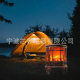Factory direct LED Christmas simulation flame fireplace lights
