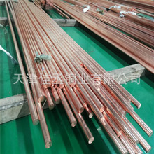 纯铜接地棒 T2紫铜棒削尖加工 变电站防雷接地材料 红铜棍现货