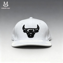 ʽ͹ŰñWƽññlogosnapback