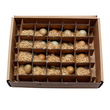 ɽ�u�����gҰ�uɢ�B���Ұ�u���������l�����r��ɽ�����u��