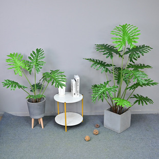 ���W�L����ֲ�������Pβ���b��҃ȾGֲ������ɢβ������ϲ����