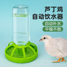 鸟用学吃围栏食盒大容量芦丁鸡自动下料器饮水器喂食器饲料盒食盆