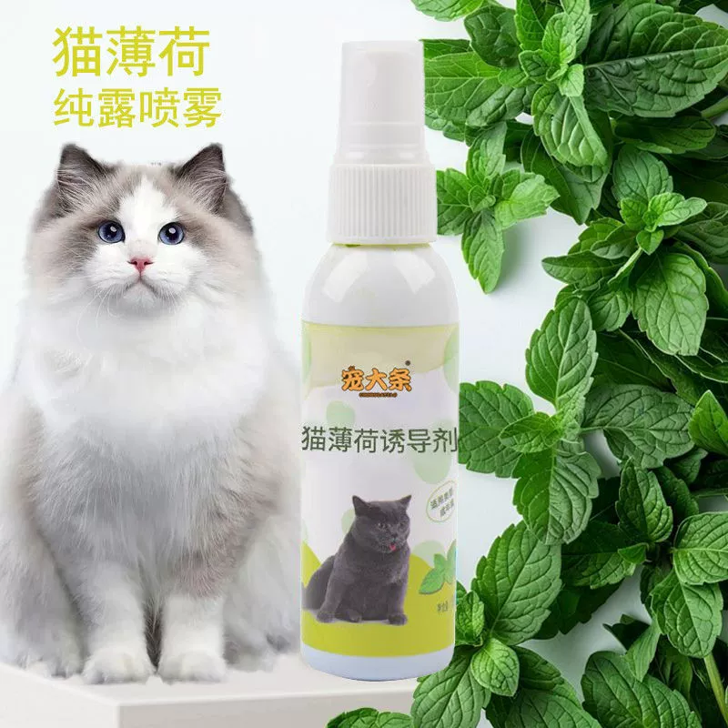 Индуктор кошачьей мяты для успокоения настроения, жидкость для кошачьей мяты для самосытости, товары для домашних животных, счастливая вода, спрей для дразнения кошек, замена волос