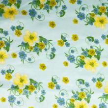 �S�ҹ���76gӡ������ˮӡ��С�黨ȹ�Ӳ��� �����ﲼѩ�������l