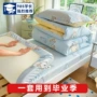 女生单人宿舍寝室床笠
