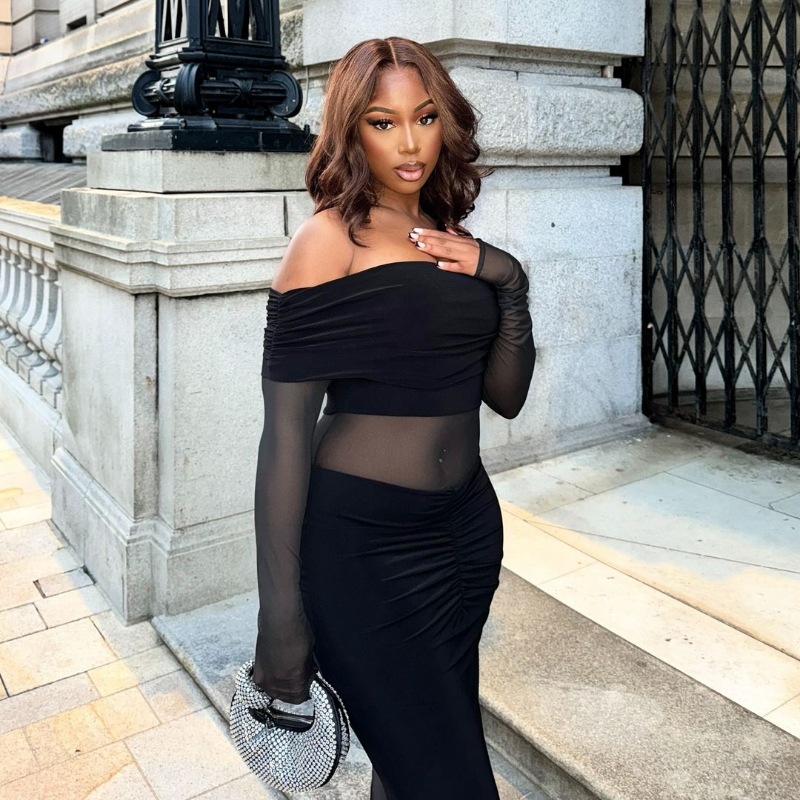 New Arrival Fashion Elegant Off Shoulder Long Sleeve Slim Fit Sheer Mesh Dress Women's Casual Party Evening Cocktail Dress_ecoleips.com