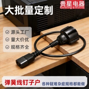 IEC320 C13 Ʒ��β�D�W�� CEE7/7 ĸ���Դ�� 16A250V ���~�O���D