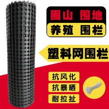 定制款拦鸡鸭网加厚塑料围栏网养殖网防护网家用养鸡网果园圈地网