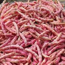 Nӡ߮aSȸNӵضܿļ߲˷N