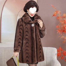 ƤŮ2024¿ꋌˮq׼ӺůߙnƤ