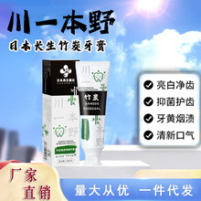 日本竹炭牙膏口腔黑人牙膏去黄亮白清洁活性炭牙膏亮白牙齿去牙渍
