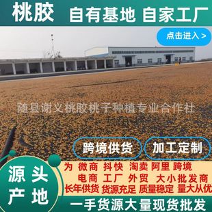 ���z���z���zѩ��������ѩɏ�Ӻ����S�h���؏S��һ��؛Դ�F؛���l