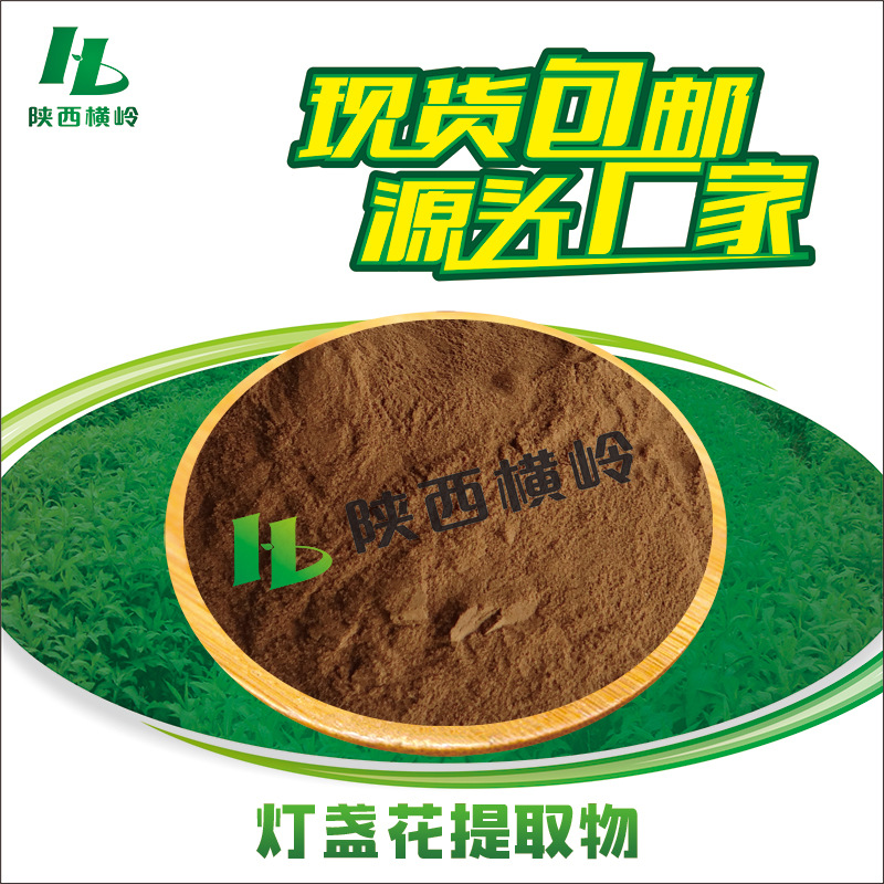 灯盏花粉 30:1灯盏花提取物 厂家供应 灯盏花素 水溶性 量大优惠