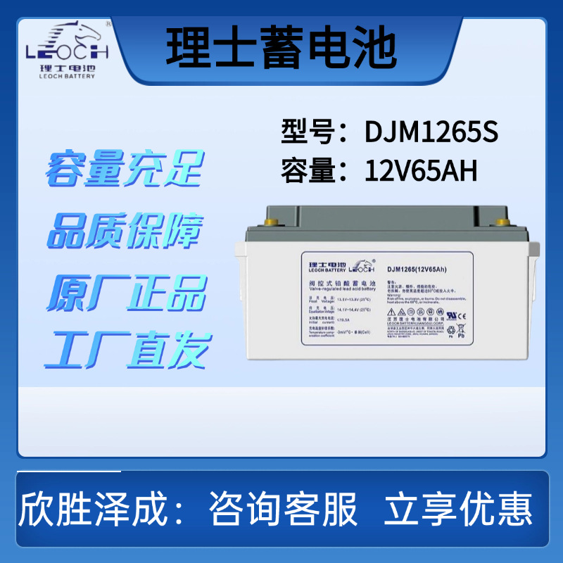理士蓄电池DJM1265S阀控式免维护铅酸12V65AH  直流屏UPS机房配套