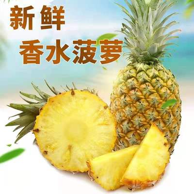 云南香水小菠萝国香水菠萝非凤梨迷你菠萝5斤9斤一件代发|ms