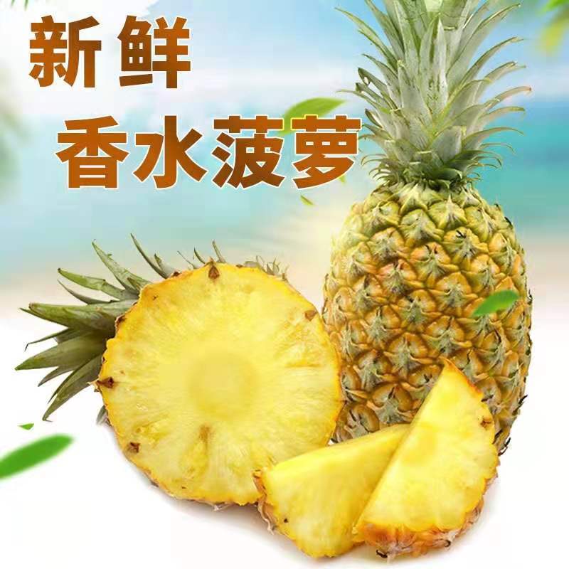 云南香水小菠萝国香水菠萝非凤梨迷你菠萝5斤9斤一件代发|ms