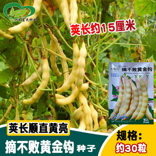 ժ�����S���h���ǷN�� �v�L�S�n�o�z�����r�ۼ�ܿ���N�� �ˈ@�߲�