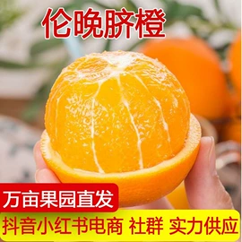 其他水果;梨;哈密瓜