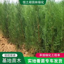 Ȱؘɰؘɰؘ猚ؘ֦֦ļ