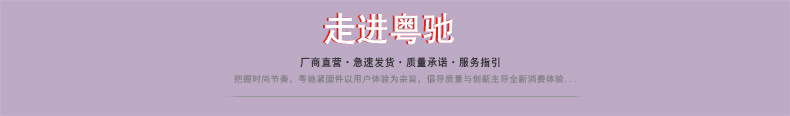 走进粤驰.jpg