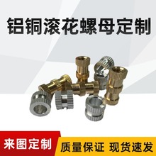 �X�~�L����ĸ��D����S�~܇�gcnc�ӹ����܃x���������ݽz��ĸ