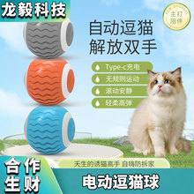 跨境新款猫狗宠物球逗猫玩具宠物用品电动自动智能引力滚滚球耐咬
