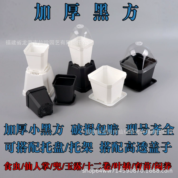 Маленький Черный квадрат Маленький цветочный горшок Садовый горшок Утолщенный пластиковый большой цветочный горшок Посев рассады Поднятие листьев посажены семь квадратных десяти квадратных