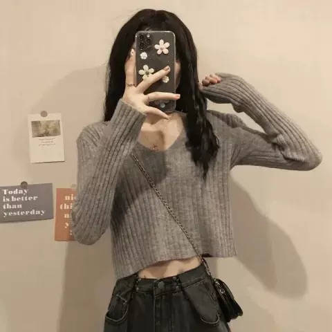 v领内搭针织打底衫女秋冬季2024年新款设计感小众毛衣短款上衣女