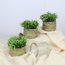 ���R�d����С���Է����ȼ����Gֲ�bҾ�ֲ�����Gֲ�ȼ�������