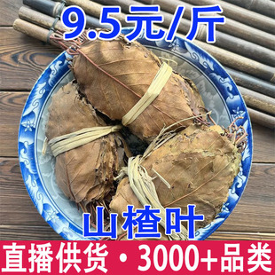 ɽ��~ ɽ��~�� ɽ��~���l���l